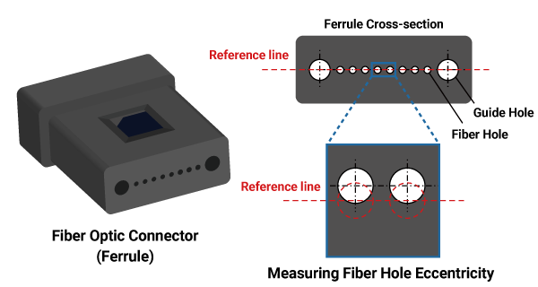 Measurements of MT ferrule