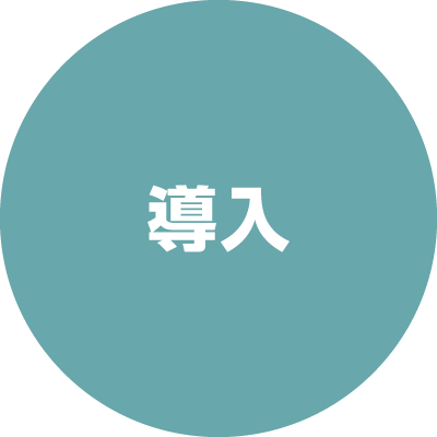 導入